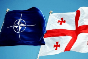 NATO to establish permanent groups in Georgia